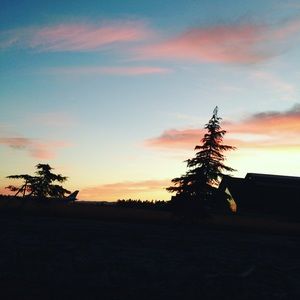 Meet your Posher, Gray